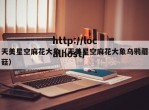 天美星空麻花大象（天美星空麻花大象乌鸦蘑菇）
